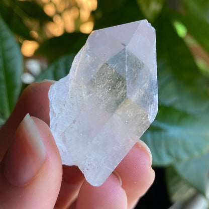 Natural Clear Quartz Point | 1 oz | 1.7”  | Clear Quartz | Top Polished Point | QP6