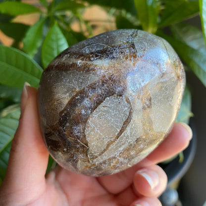 Septarian Freeform | 10 oz | 3" | Dragon Stone | Septarian Crystal | Palm Stone | SP7