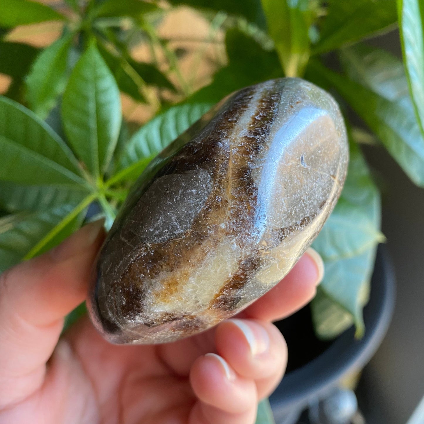 Septarian Freeform | 10 oz | 3" | Dragon Stone | Septarian Crystal | Palm Stone | SP7