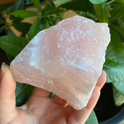 Rough Rose Quartz | 13.9 oz | 4”  | Rough Stone | Palm Size Stone | R6