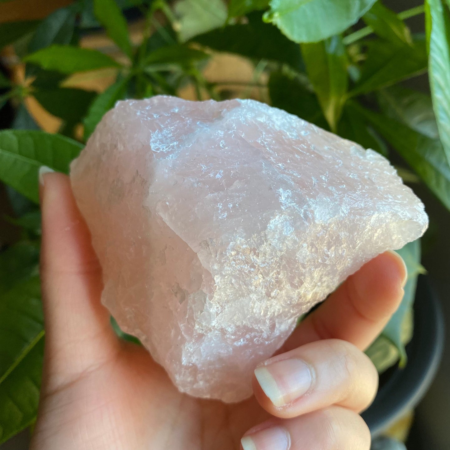Rough Rose Quartz | 13.9 oz | 4”  | Rough Stone | Palm Size Stone | R6
