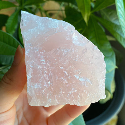 Rough Rose Quartz | 13.9 oz | 4”  | Rough Stone | Palm Size Stone | R6
