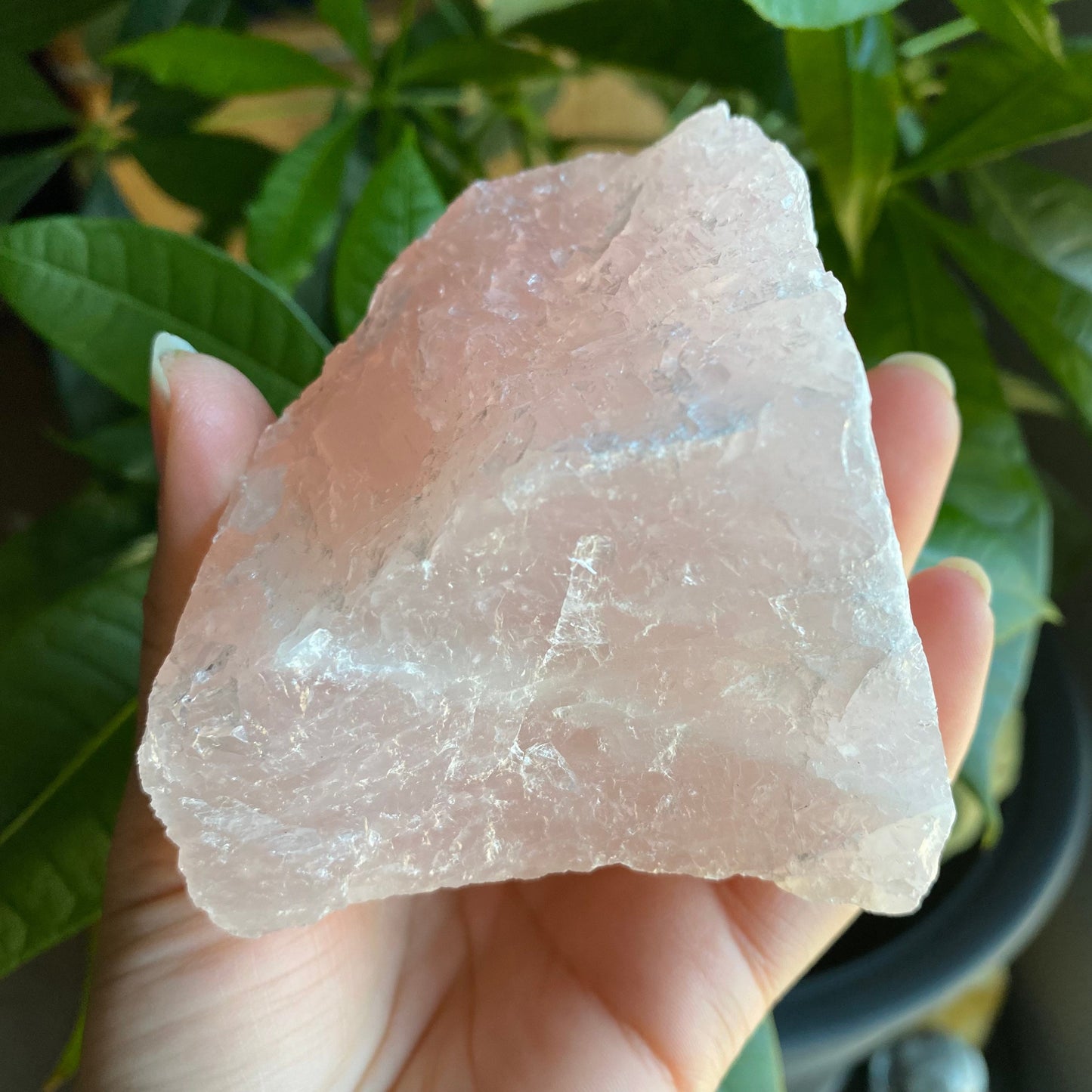 Rough Rose Quartz | 13.9 oz | 4”  | Rough Stone | Palm Size Stone | R6