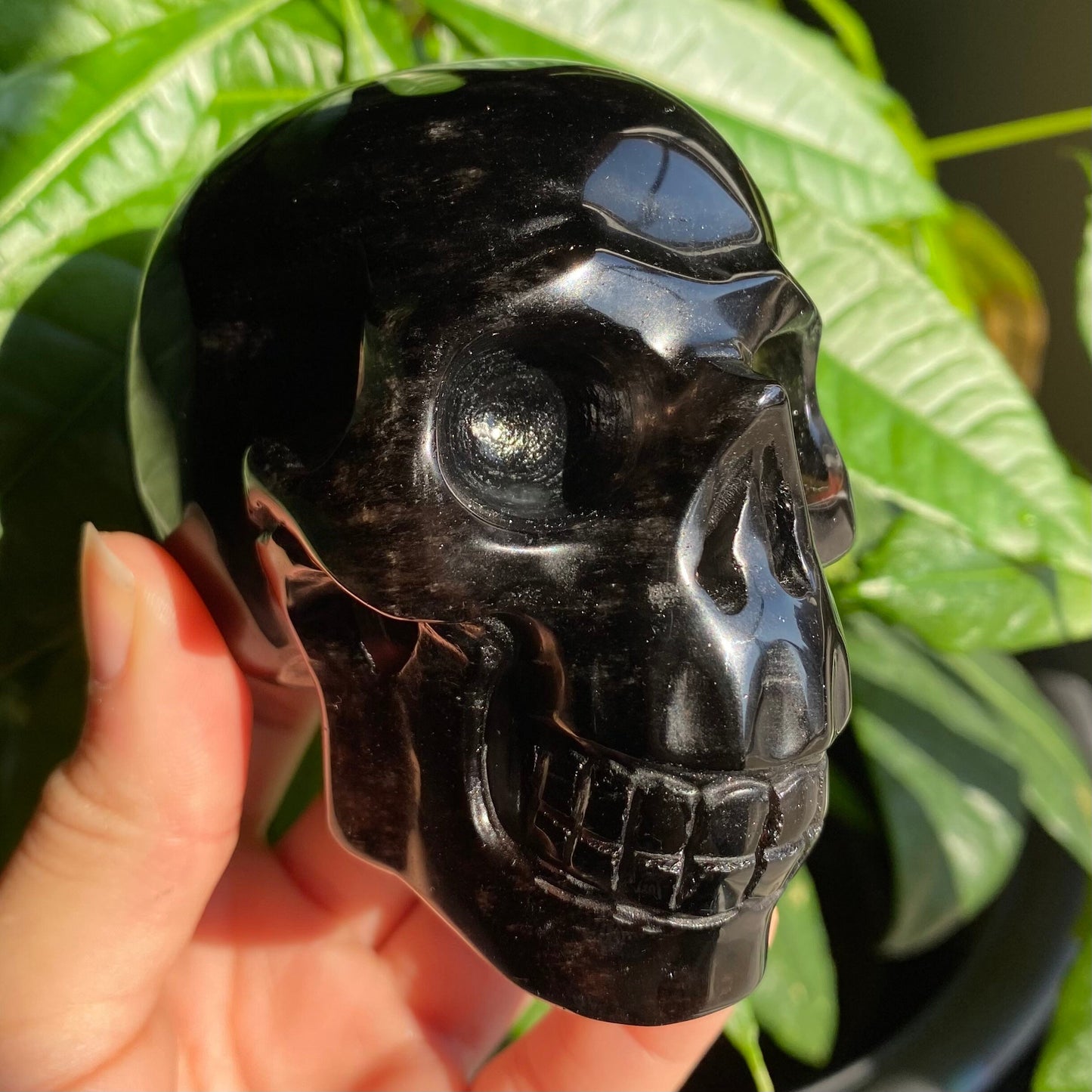 Smoky Quartz Skull | 1 lb 1.3 oz | 4" | Crystal Carving | Large Crystal Skull