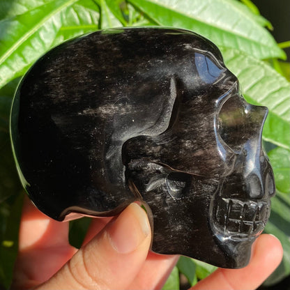 Smoky Quartz Skull | 1 lb 1.3 oz | 4" | Crystal Carving | Large Crystal Skull