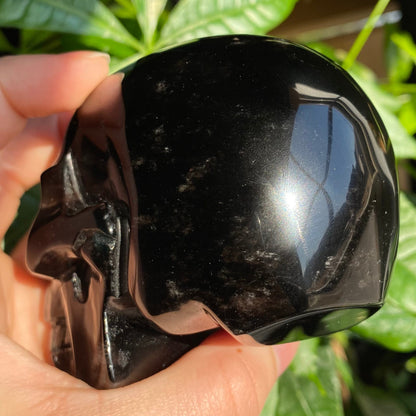Smoky Quartz Skull | 1 lb 1.3 oz | 4" | Crystal Carving | Large Crystal Skull