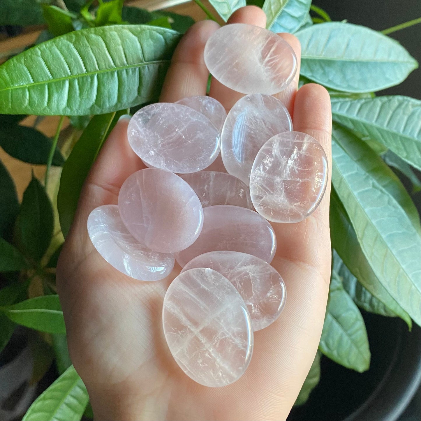 Rose Quartz Worry Stone | Crystal Worry Stone | Intuitively Selected (random)