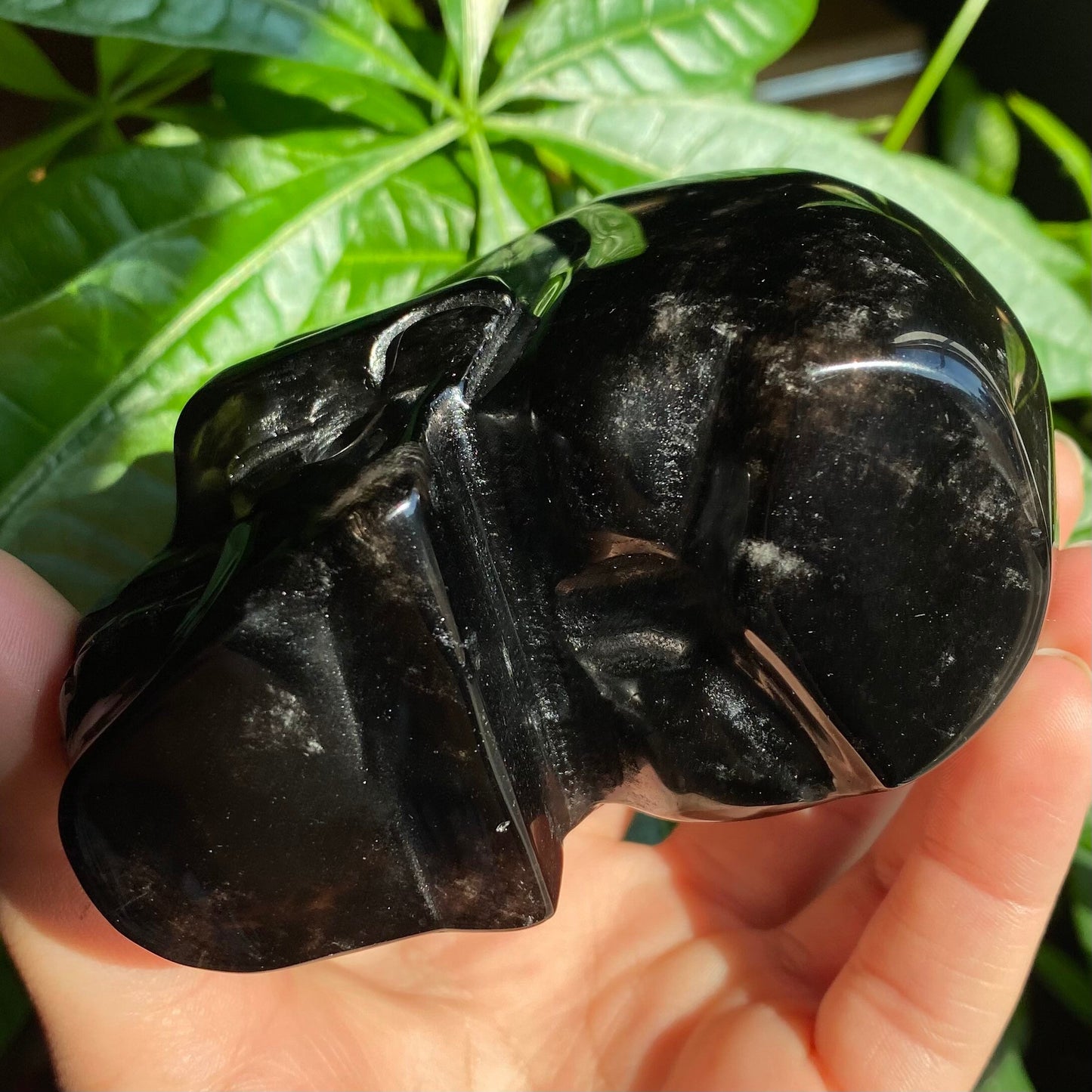 Smoky Quartz Skull | 1 lb 1.3 oz | 4" | Crystal Carving | Large Crystal Skull
