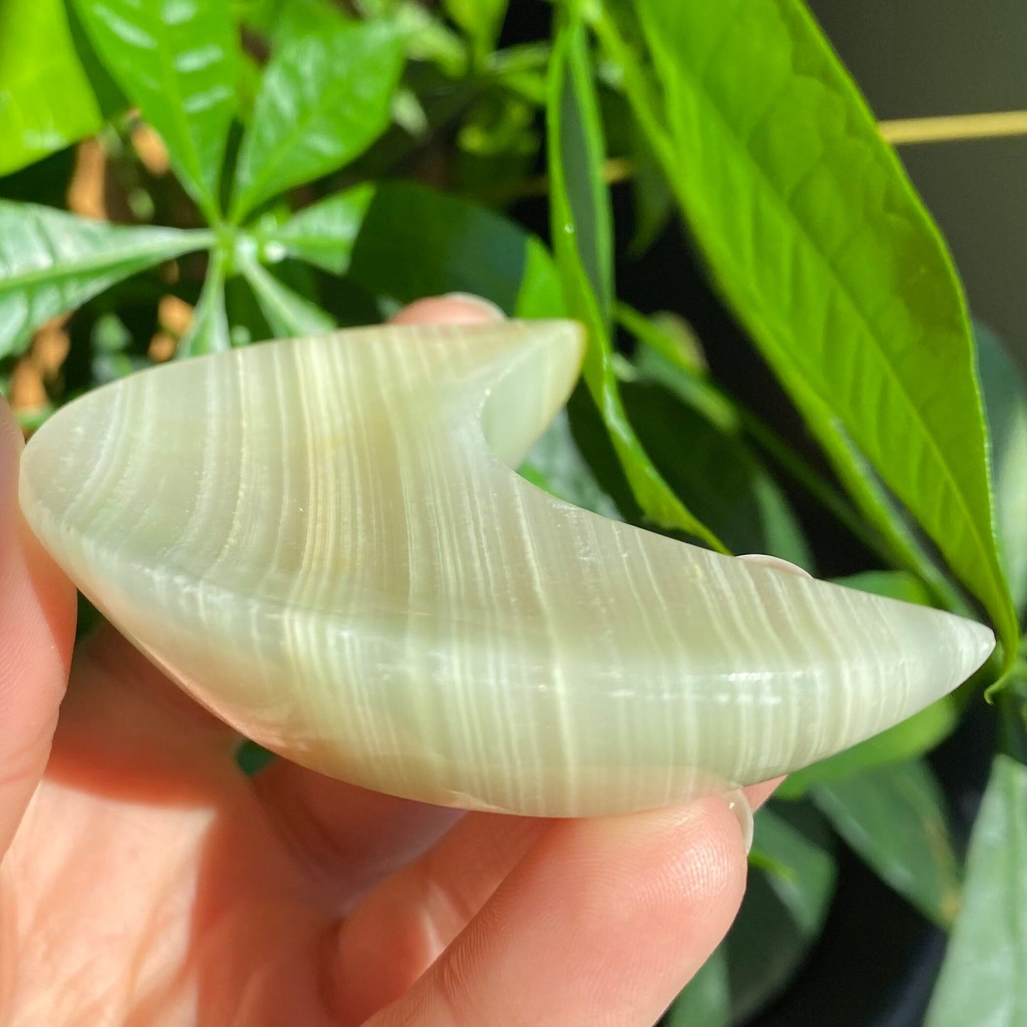 Green Onyx Moon Bowl | 3" | 3 oz | Banded Calcite | Crystal Bowl | Crystal Carving | CM1