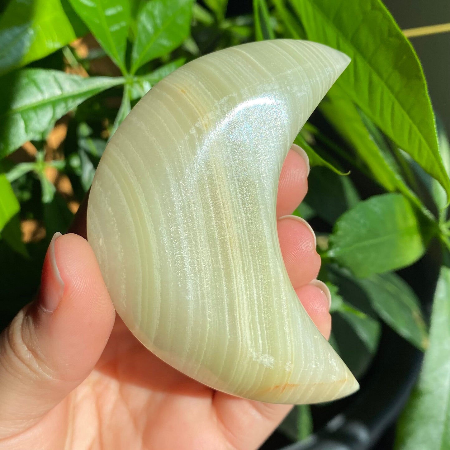 Green Onyx Moon Bowl | 3" | 3 oz | Banded Calcite | Crystal Bowl | Crystal Carving | CM1