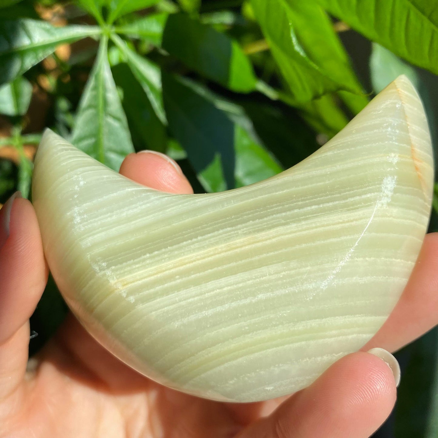 Green Onyx Moon Bowl | 3" | 3 oz | Banded Calcite | Crystal Bowl | Crystal Carving | CM1