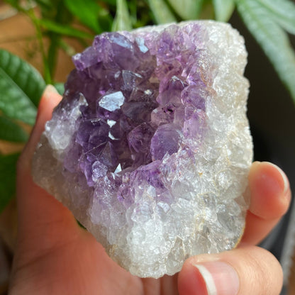 Raw Amethyst Geode | 9.9 oz | 2.7” | Rough Amethyst | Cathedral Amethyst | Crystal Cluster | Cut Base | Uruguay | Free Standing | AG3