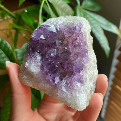Raw Amethyst Geode | 9.9 oz | 2.7” | Rough Amethyst | Cathedral Amethyst | Crystal Cluster | Cut Base | Uruguay | Free Standing | AG3