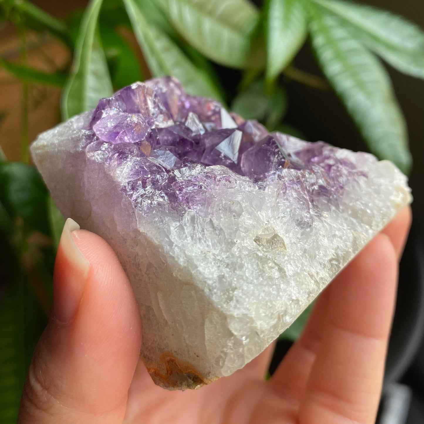 Raw Amethyst Geode | 9.9 oz | 2.7” | Rough Amethyst | Cathedral Amethyst | Crystal Cluster | Cut Base | Uruguay | Free Standing | AG3
