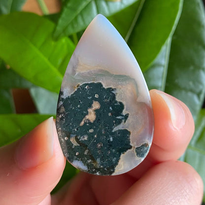 Tree Agate Cabochon | 1.6 in | Dendritic Agate | Cabochon | For Wire Wrapping | For Jewelry Making | Teardrop Shape | TAC1