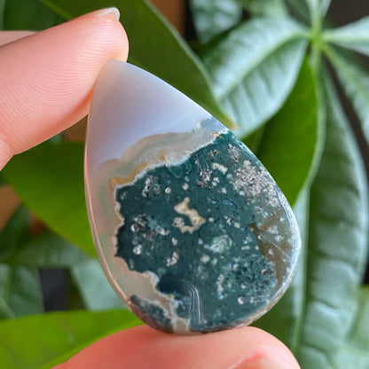 Tree Agate Cabochon | 1.6 in | Dendritic Agate | Cabochon | For Wire Wrapping | For Jewelry Making | Teardrop Shape | TAC1