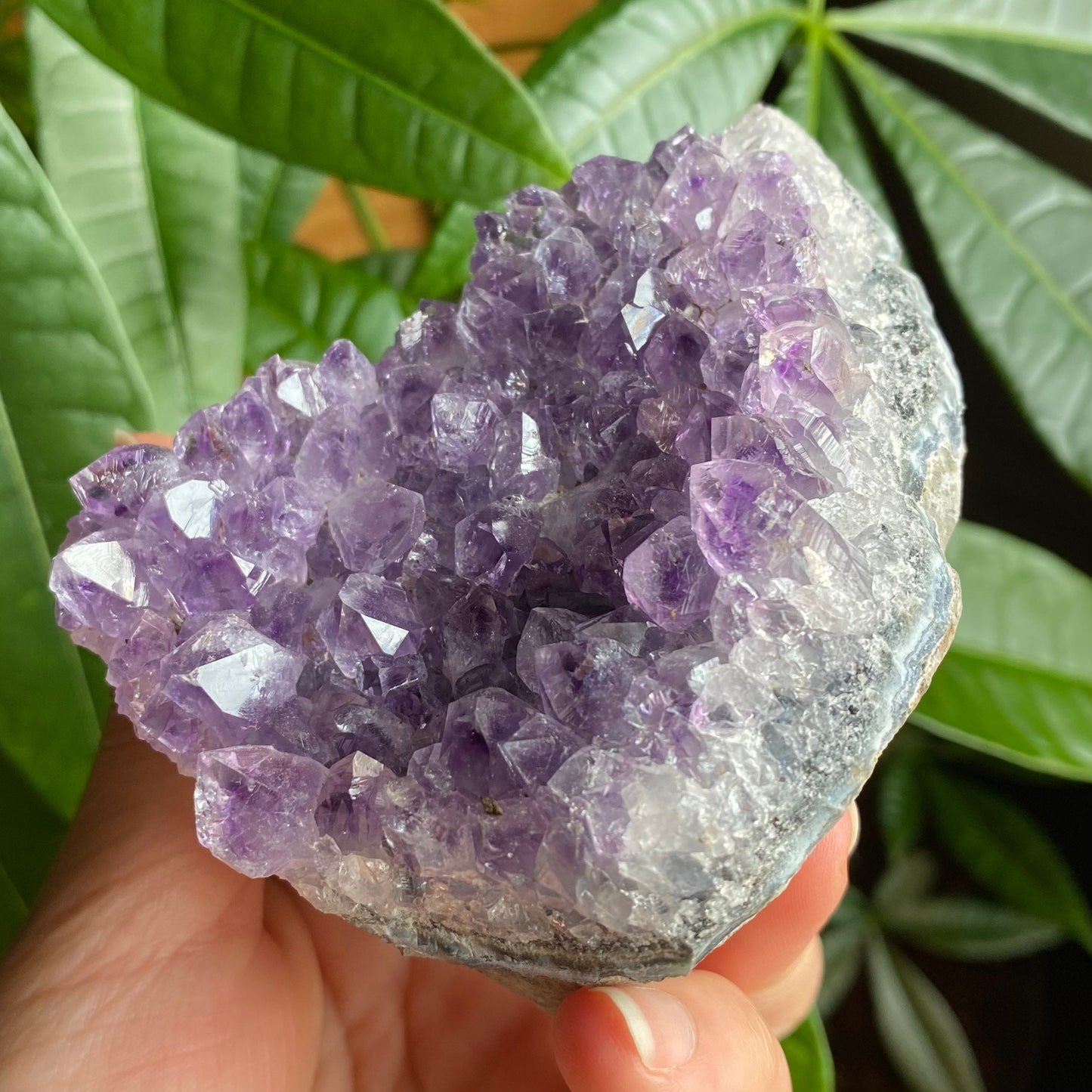 Raw Amethyst Geode | 11.1 oz | 3.2” | Rough Amethyst | Cathedral Amethyst | Crystal Cluster | Cut Base | Uruguay | Free Standing | AG1
