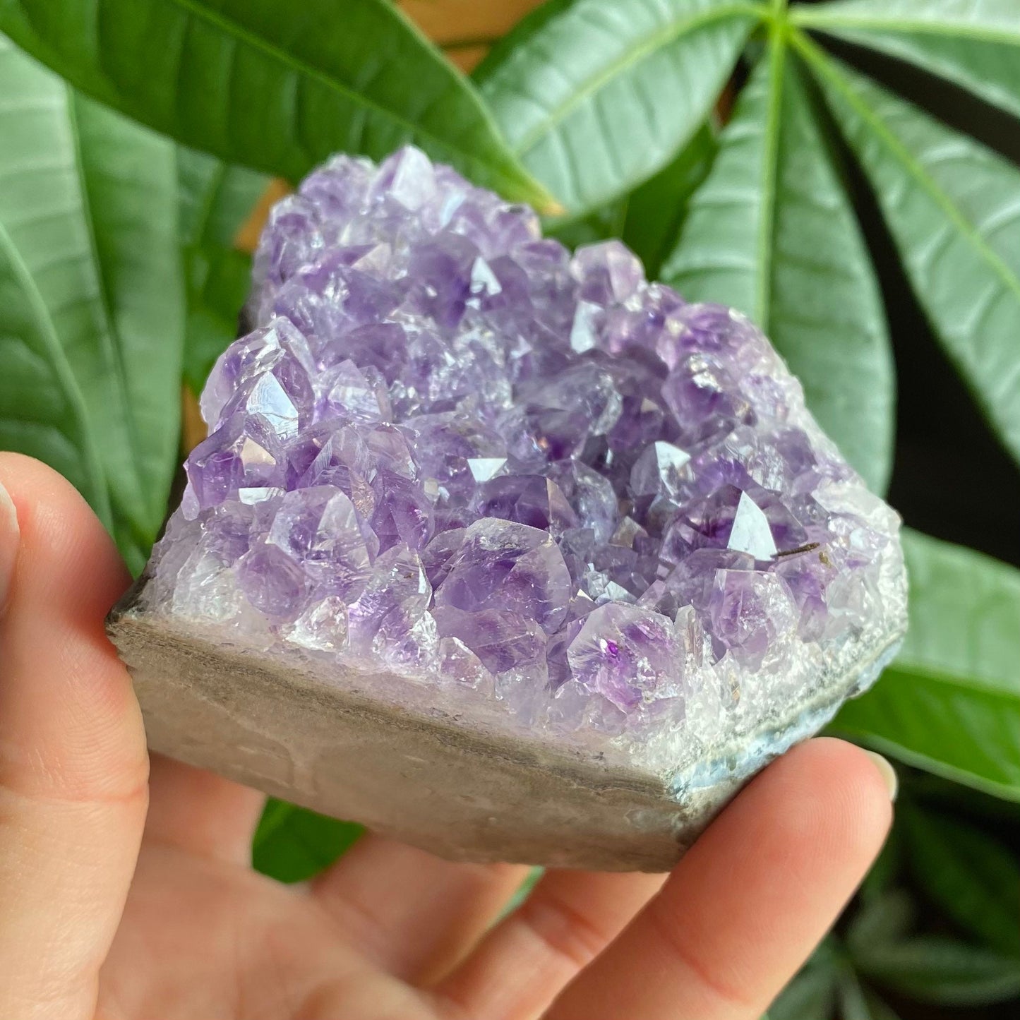 Raw Amethyst Geode | 11.1 oz | 3.2” | Rough Amethyst | Cathedral Amethyst | Crystal Cluster | Cut Base | Uruguay | Free Standing | AG1