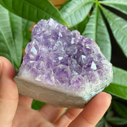 Raw Amethyst Geode | 11.1 oz | 3.2” | Rough Amethyst | Cathedral Amethyst | Crystal Cluster | Cut Base | Uruguay | Free Standing | AG1