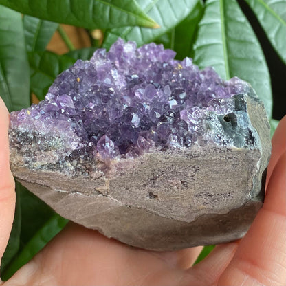 Raw Amethyst Geode | 10.6 oz | 3.1” | Rough Amethyst | Cathedral Amethyst | Crystal Cluster | Cut Base | Uruguay | Free Standing | AG2