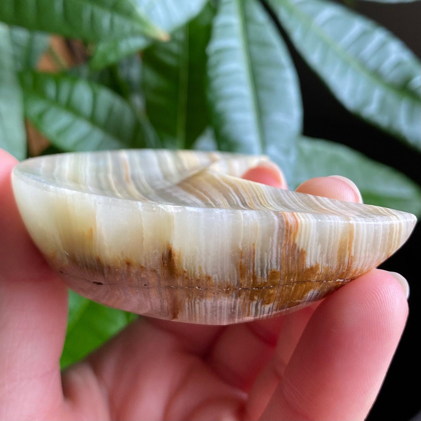 Green Onyx Moon Bowl | 3.1" | 4.2 oz | Banded Calcite | Crystal Bowl | Crystal Carving | CM2