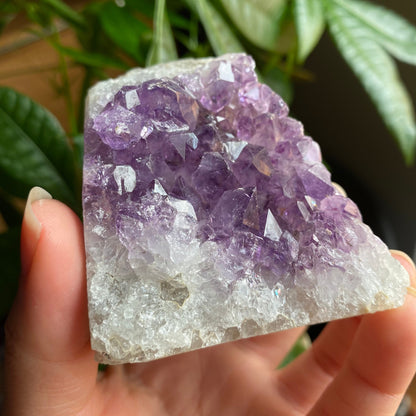 Raw Amethyst Geode | 9.9 oz | 2.7” | Rough Amethyst | Cathedral Amethyst | Crystal Cluster | Cut Base | Uruguay | Free Standing | AG3
