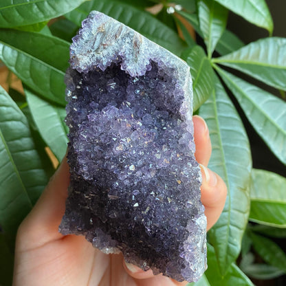 Raw Amethyst Geode | 11.5 oz | 3.6” | Rough Amethyst | Cathedral Amethyst | Crystal Cluster | Cut Base | Uruguay | Free Standing | AG4