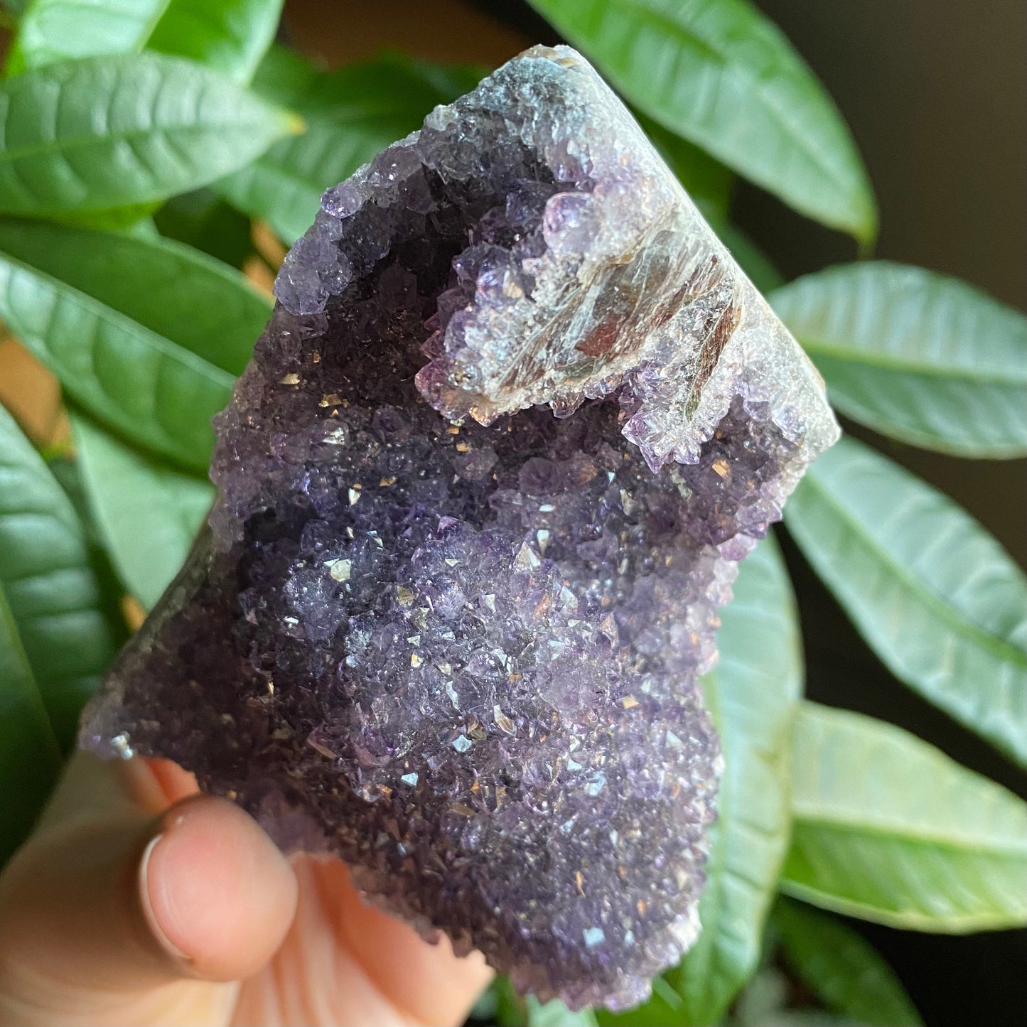 Raw Amethyst Geode | 11.5 oz | 3.6” | Rough Amethyst | Cathedral Amethyst | Crystal Cluster | Cut Base | Uruguay | Free Standing | AG4
