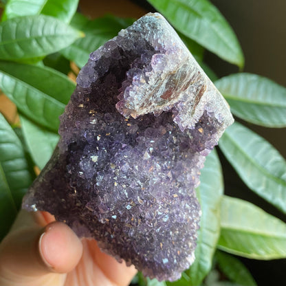 Raw Amethyst Geode | 11.5 oz | 3.6” | Rough Amethyst | Cathedral Amethyst | Crystal Cluster | Cut Base | Uruguay | Free Standing | AG4