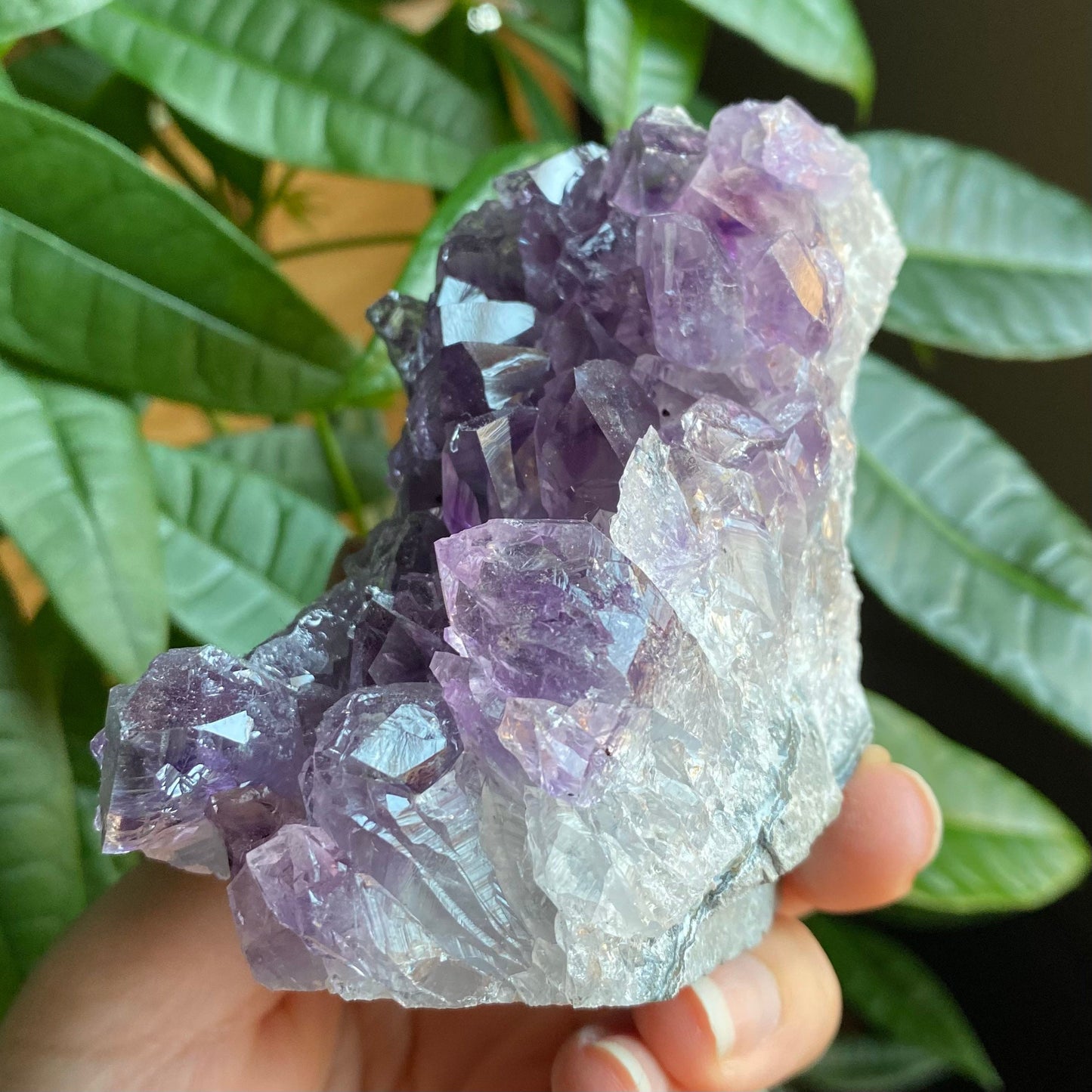 Raw Amethyst Geode | 13.3 oz | 3.3” | Rough Amethyst | Cathedral Amethyst | Crystal Cluster | Cut Base | Uruguay | Free Standing | AG5