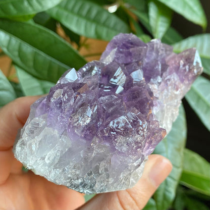 Raw Amethyst Geode | 13.3 oz | 3.3” | Rough Amethyst | Cathedral Amethyst | Crystal Cluster | Cut Base | Uruguay | Free Standing | AG5