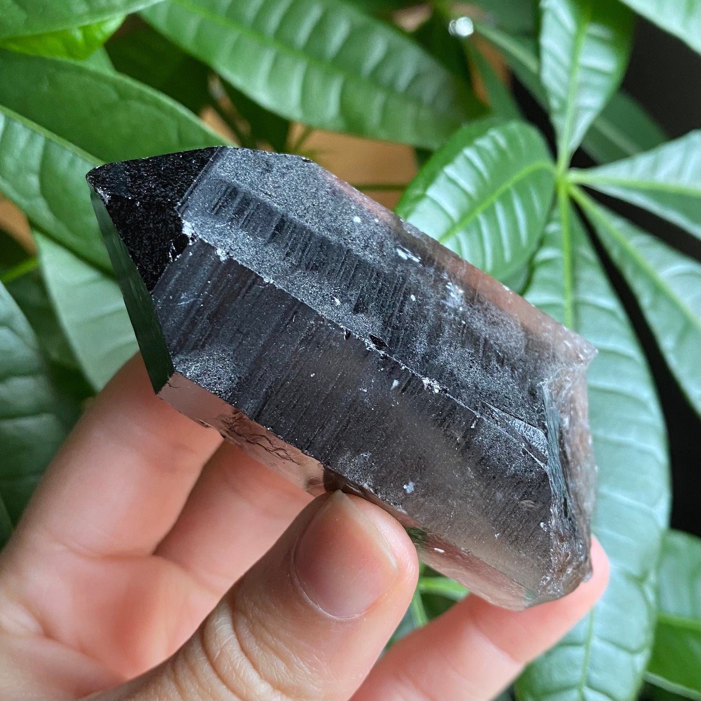 Smoky Quartz Point | 5.1 oz | 3.5 in | Crystal Point | Natural Quartz | SP16