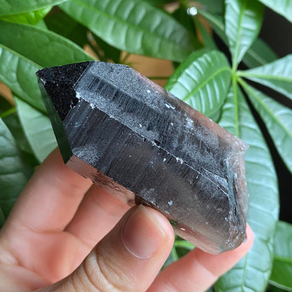 Smoky Quartz Point | 5.1 oz | 3.5 in | Crystal Point | Natural Quartz | SP16
