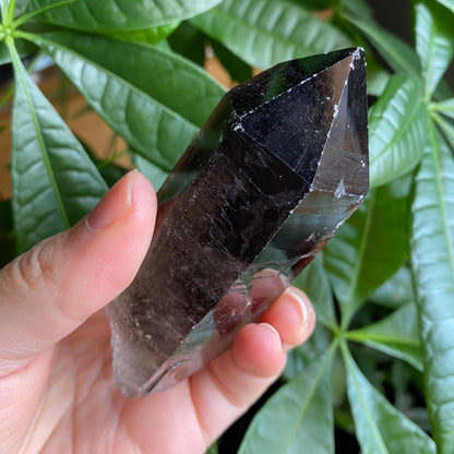 Smoky Quartz Point | 5.1 oz | 3.5 in | Crystal Point | Natural Quartz | SP16