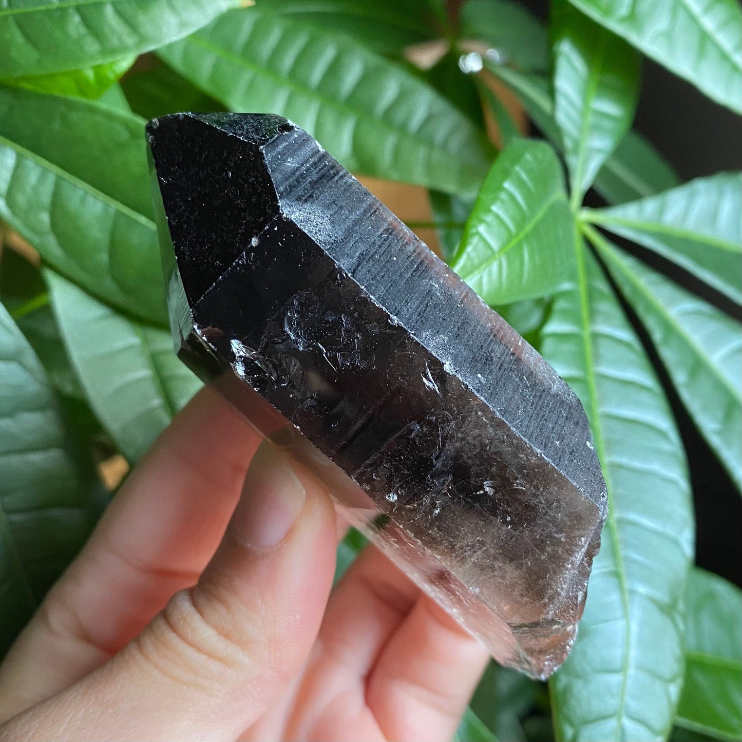 Smoky Quartz Point | 5.1 oz | 3.5 in | Crystal Point | Natural Quartz | SP16