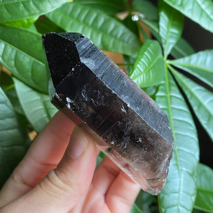 Smoky Quartz Point | 5.1 oz | 3.5 in | Crystal Point | Natural Quartz | SP16