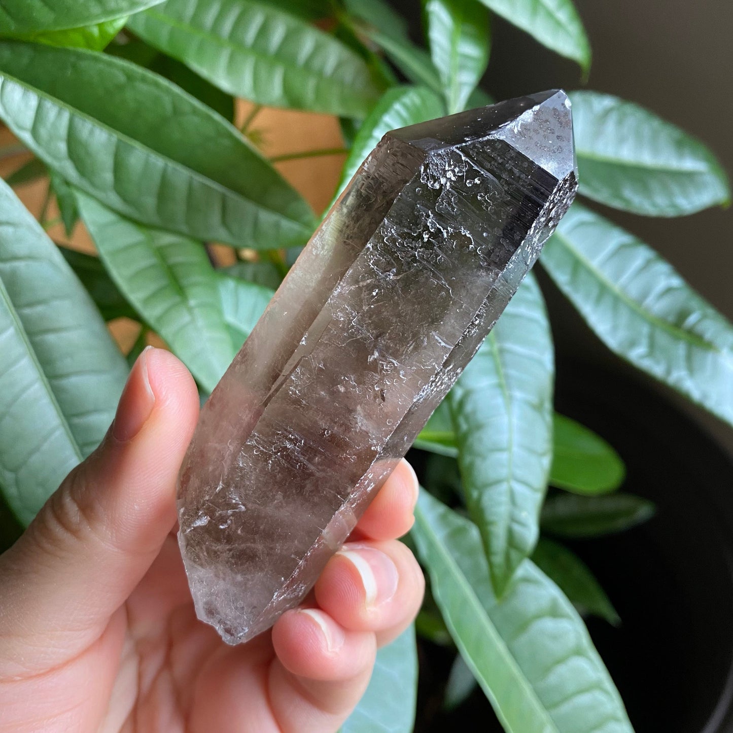 Smoky Quartz Point | 3.7 oz | 3.7 in | Crystal Point | Natural Quartz | SP15