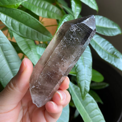 Smoky Quartz Point | 3.7 oz | 3.7 in | Crystal Point | Natural Quartz | SP15