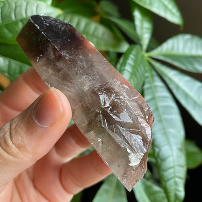 Smoky Quartz Point | 3.7 oz | 3.7 in | Crystal Point | Natural Quartz | SP15