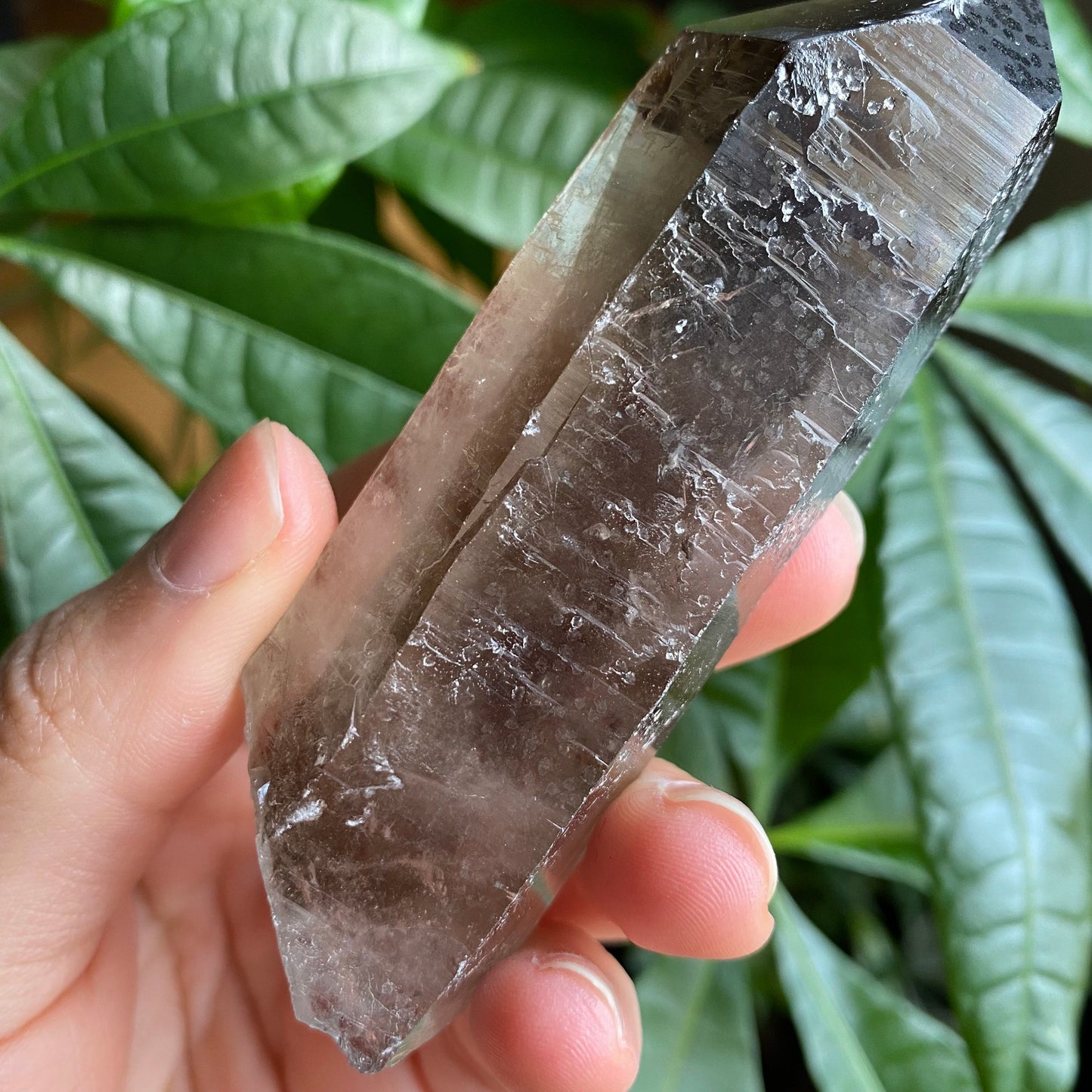 Smoky Quartz Point | 3.7 oz | 3.7 in | Crystal Point | Natural Quartz | SP15
