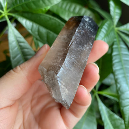 Smoky Quartz Point | 3.7 oz | 3.7 in | Crystal Point | Natural Quartz | SP15