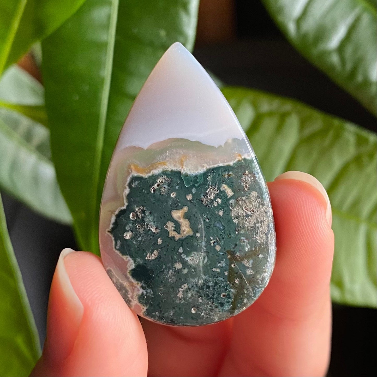 Tree Agate Cabochon | 1.6 in | Dendritic Agate | Cabochon | For Wire Wrapping | For Jewelry Making | Teardrop Shape | TAC1