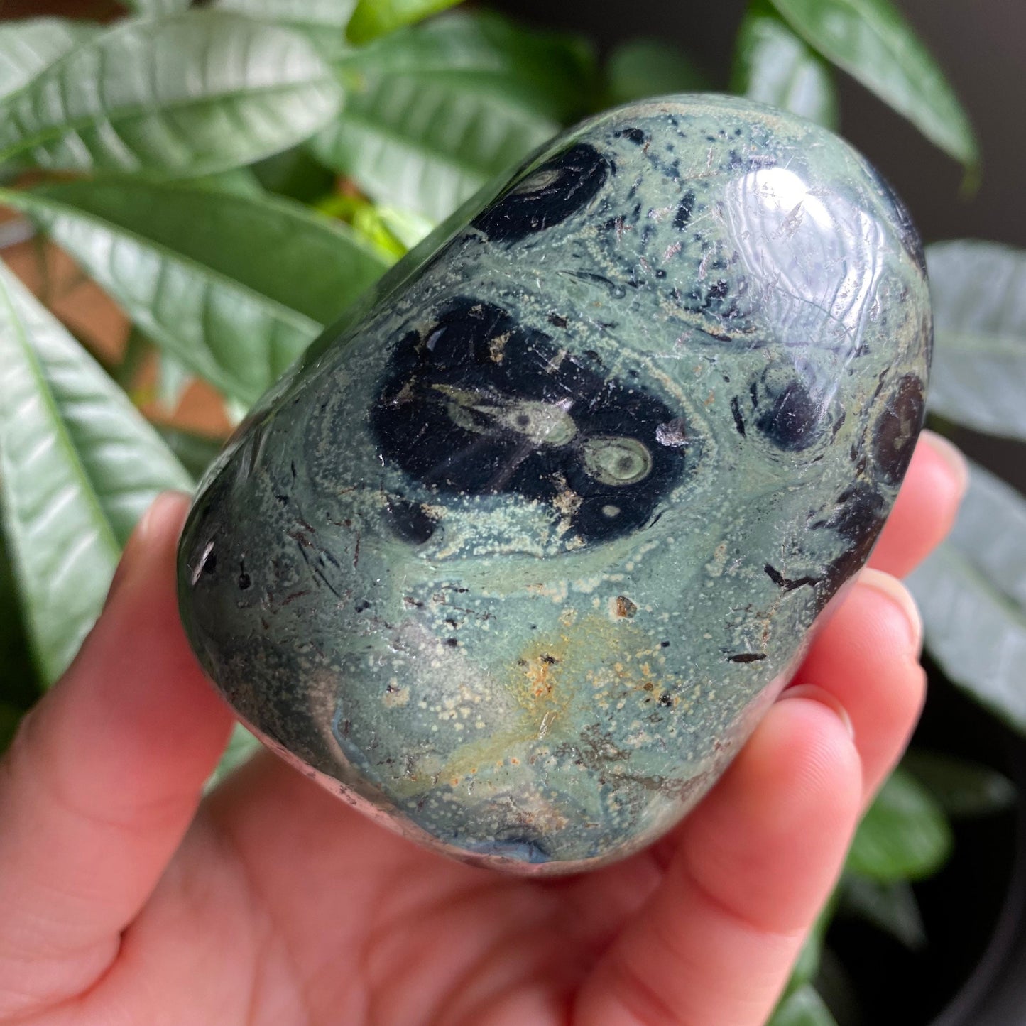 Kambaba Jasper Freeform | 11.4 oz | 2.7 in | Crystal Freeform | Palm Stone | K3