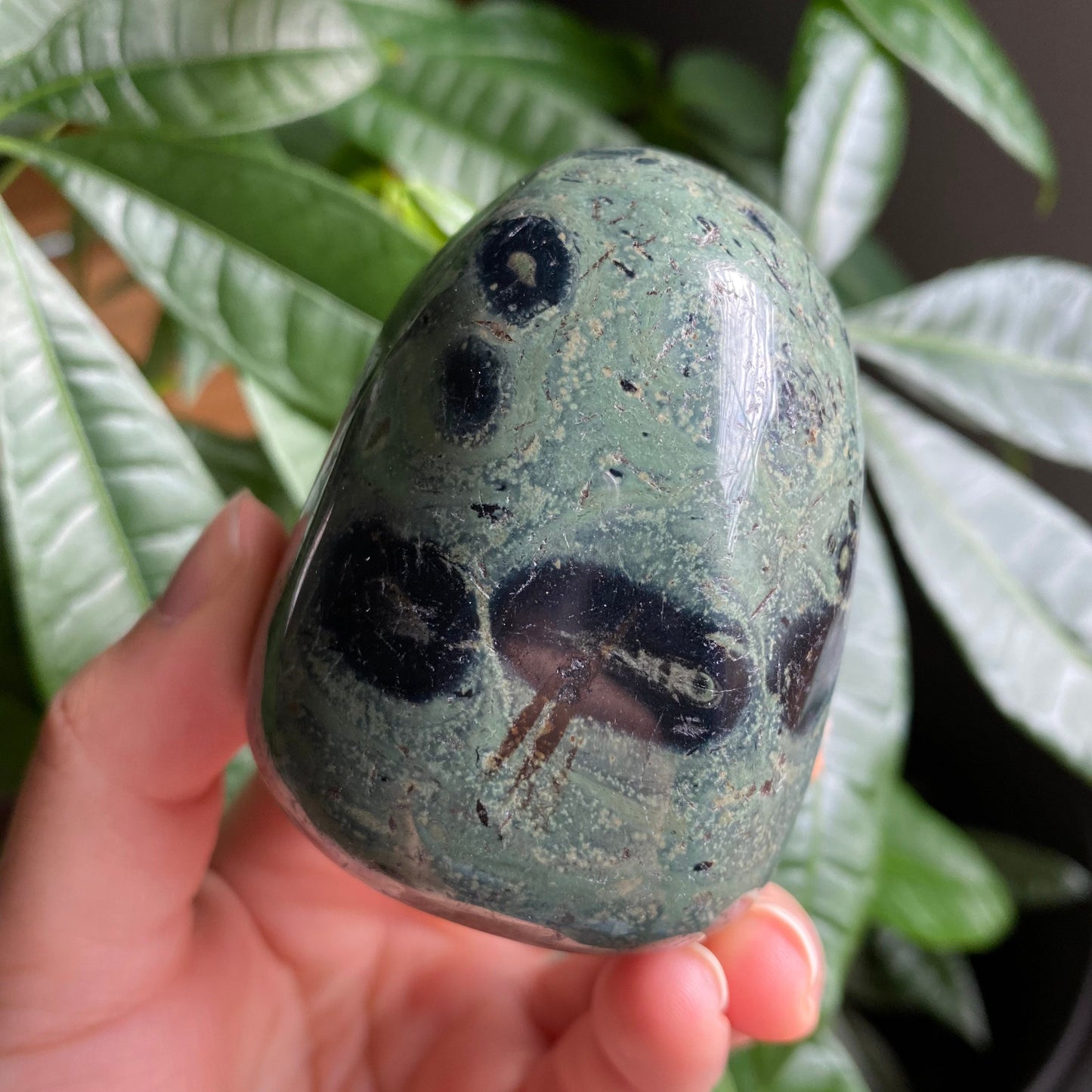 Kambaba Jasper Freeform | 11.4 oz | 2.7 in | Crystal Freeform | Palm Stone | K3