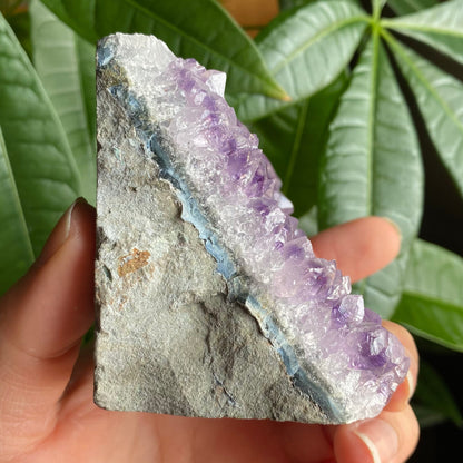 Raw Amethyst Geode | 11.1 oz | 3.2” | Rough Amethyst | Cathedral Amethyst | Crystal Cluster | Cut Base | Uruguay | Free Standing | AG1