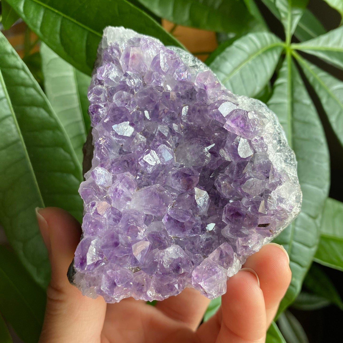 Raw Amethyst Geode | 11.1 oz | 3.2” | Rough Amethyst | Cathedral Amethyst | Crystal Cluster | Cut Base | Uruguay | Free Standing | AG1
