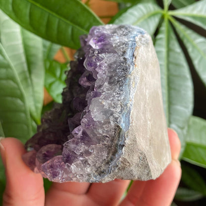 Raw Amethyst Geode | 11.1 oz | 3.2” | Rough Amethyst | Cathedral Amethyst | Crystal Cluster | Cut Base | Uruguay | Free Standing | AG1