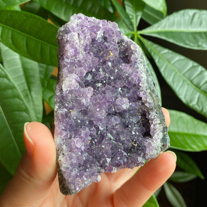 Raw Amethyst Geode | 10.6 oz | 3.1” | Rough Amethyst | Cathedral Amethyst | Crystal Cluster | Cut Base | Uruguay | Free Standing | AG2