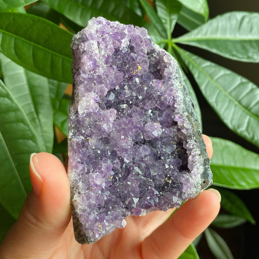 Raw Amethyst Geode | 10.6 oz | 3.1” | Rough Amethyst | Cathedral Amethyst | Crystal Cluster | Cut Base | Uruguay | Free Standing | AG2