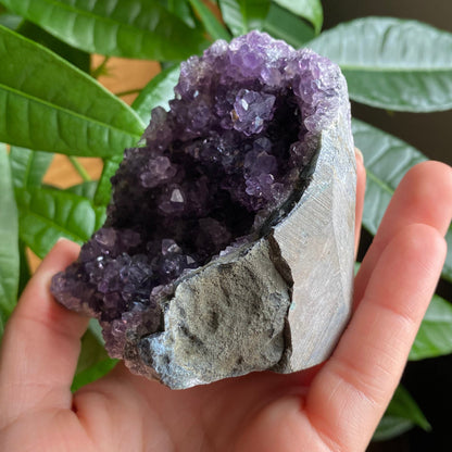 Raw Amethyst Geode | 10.6 oz | 3.1” | Rough Amethyst | Cathedral Amethyst | Crystal Cluster | Cut Base | Uruguay | Free Standing | AG2